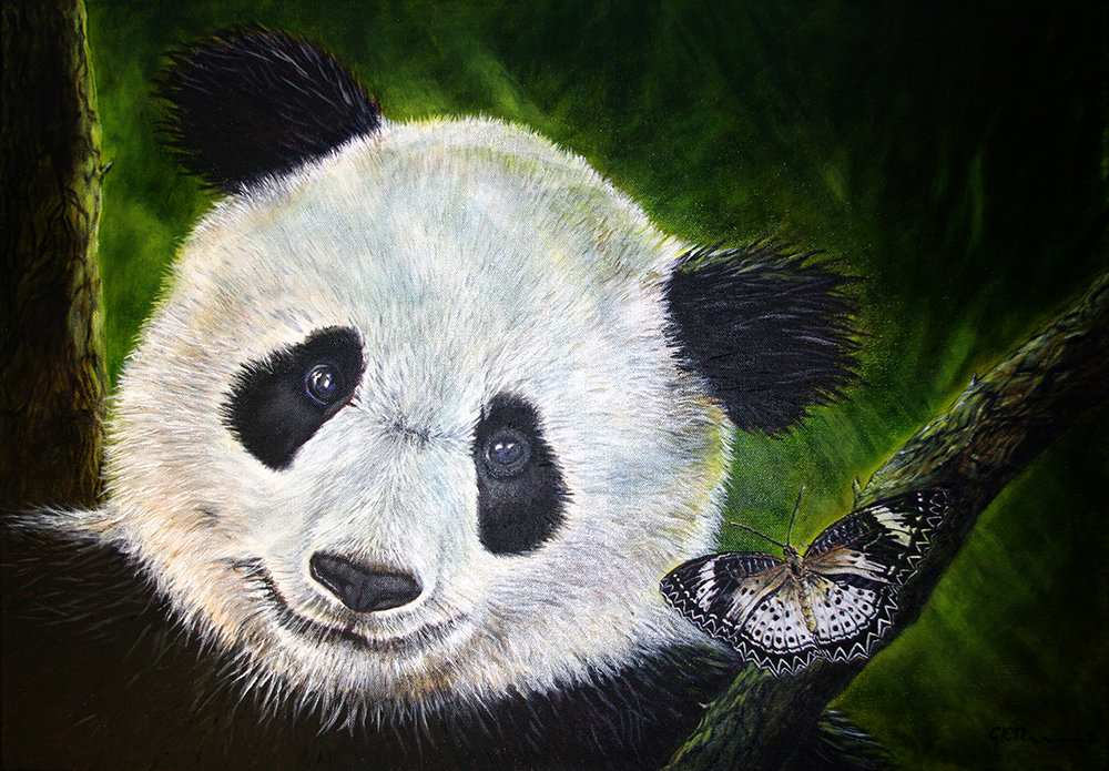 Panda Leopard Lacewing, 2010 | Glenda Maynard Art